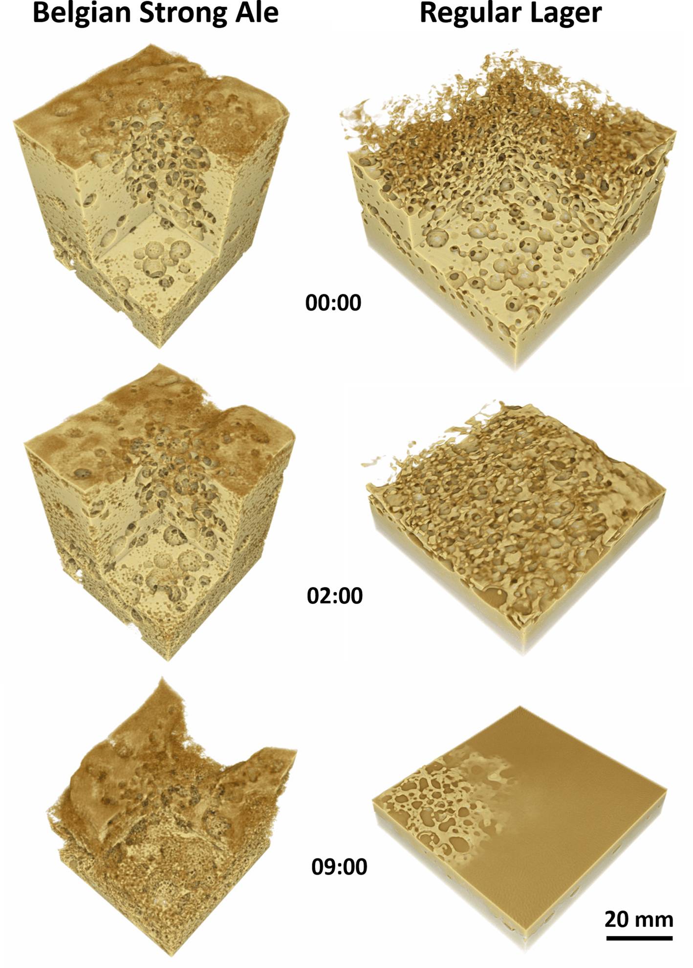 beer head analysis dynamic micro-CT